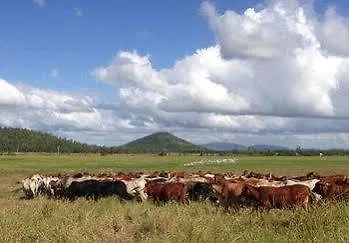 Henderson Park Farm Retreat Villa Yeppoon Lodge